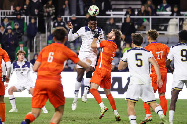 詹姆斯的公 詹姆斯的公